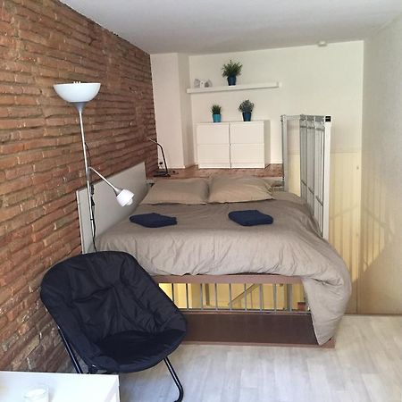 Апартаменти Le Petit Moulin, Duplex Hypercentre Тулуза Екстер'єр фото