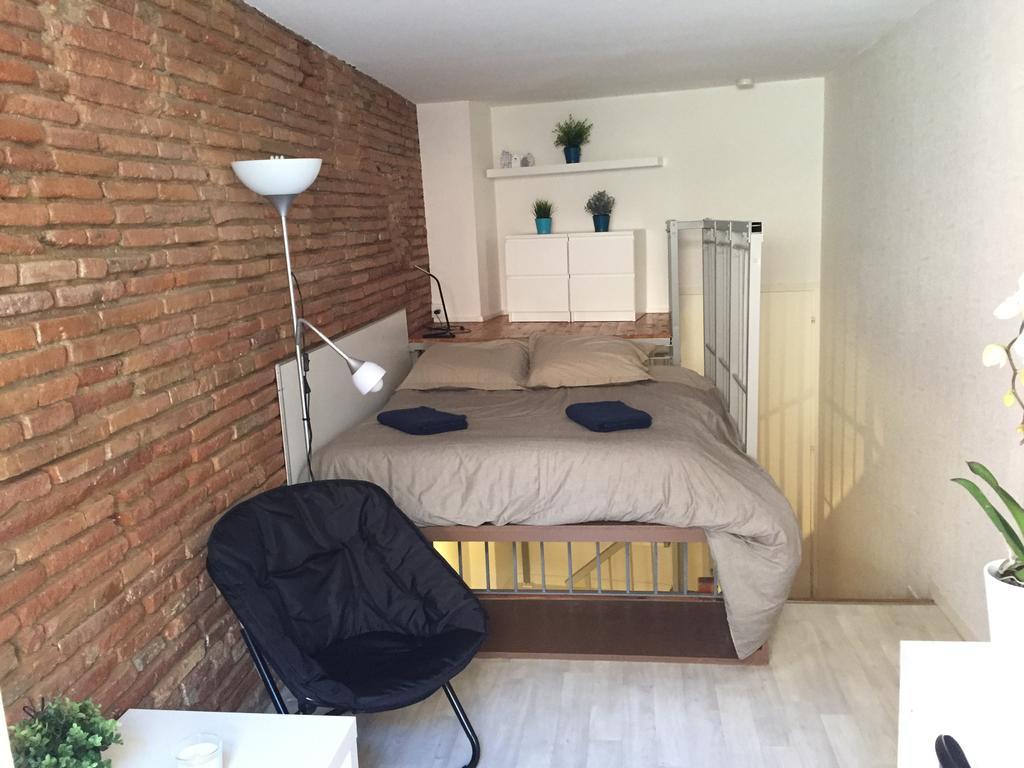 Апартаменти Le Petit Moulin, Duplex Hypercentre Тулуза Екстер'єр фото